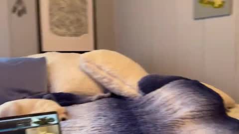 Mia  online show from 01.06.25