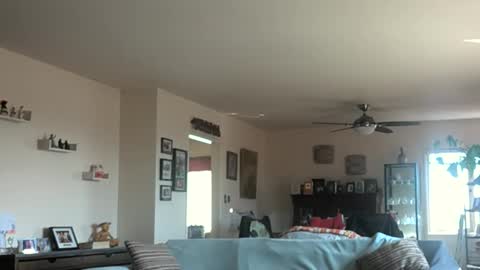 Monkee Dance online show from 03.03.25