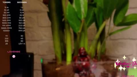 Luna  online show from 02.14.25