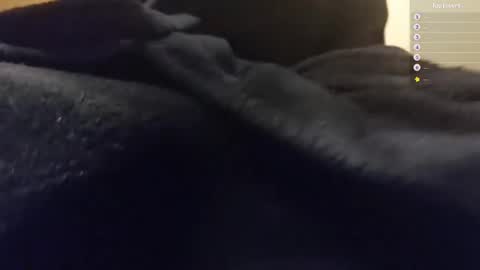 Moonsire online show from 01.26.25