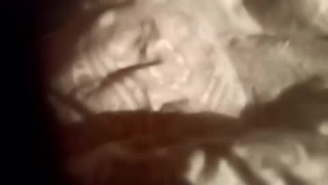 moos1 online show from 02.28.26