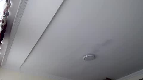 Abelardo online show from 10.29.25