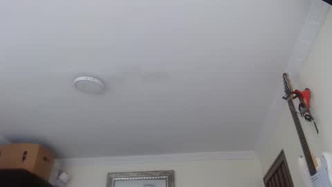 Abelardo online show from 01.12.26