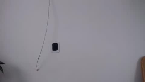 Abelardo online show from 05.20.26