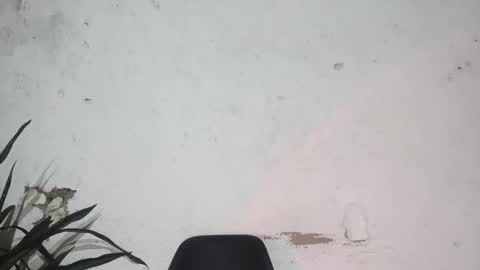 Snapshot of moreno_lutador chatting on 02.24.25 John john online show from 02.24.25
