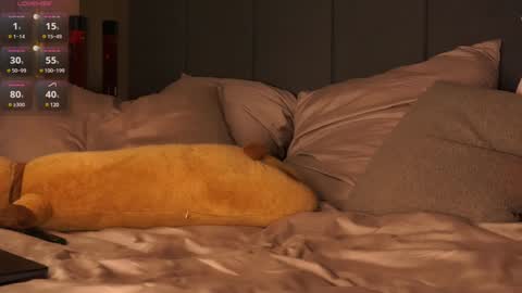 morphe online show from 12.20.24