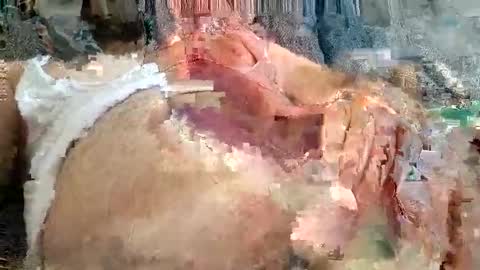 Arab boy online show from 11.24.25