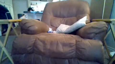 motodub online show from 03.01.25