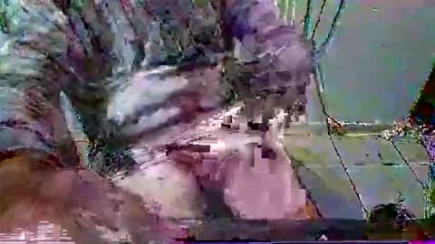 mppempis81 online show from 01.31.26