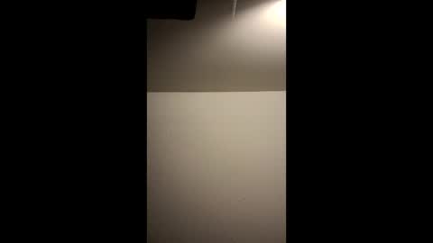 mr300311079702960 online show from 04.23.26