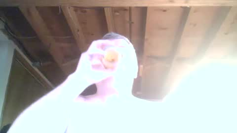 mrblade666 online show from 01.12.25