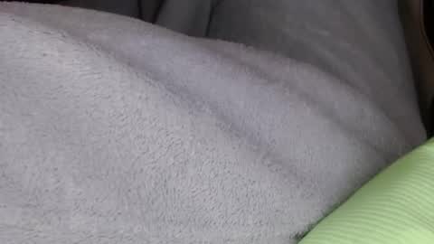 Mister Jean Nemar online show from 01.18.26