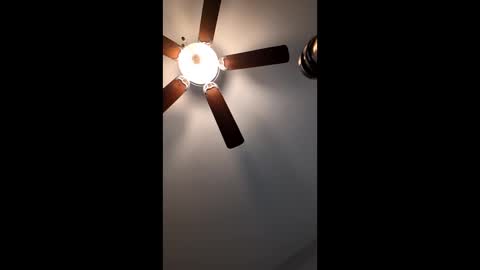 Snapshot of mrorange50187 chatting on 01.12.25 mrorange50187 online show from 01.12.25