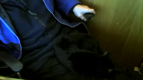 muller520 online show from 01.07.26