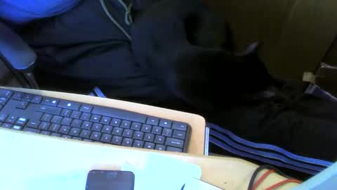 Snapshot of muller520 chatting on 05.13.26 muller520 online show from 05.13.26