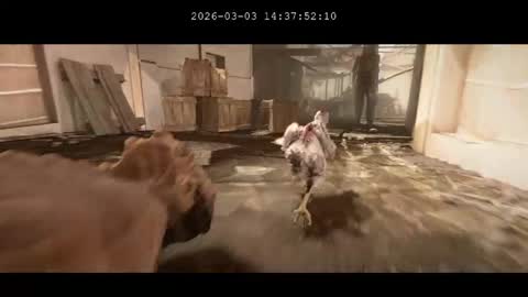 Snapshot of multitest101 chatting on 03.03.26 multitest101 online show from 03.03.26