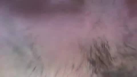 musclehair3 online show from 07.13.26