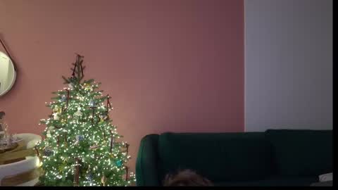 Ivan  online show from 01.22.25