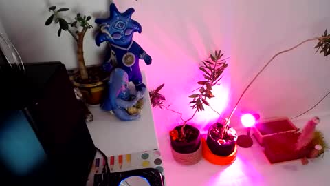 Snapshot of muse_online chatting on 12.31.24 Muse Ali  online show from 12.31.24