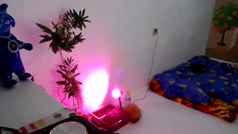 Snapshot of muse_online chatting on 12.31.24 Muse Ali  online show from 12.31.24