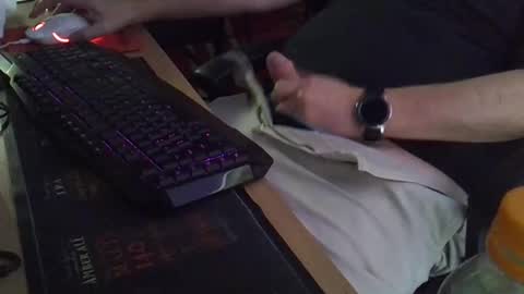 Muso online show from 11.21.25