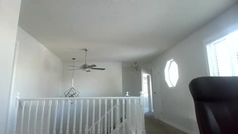 Snapshot of mvagusta19 chatting on 03.02.26 mvagusta19 online show from 03.02.26