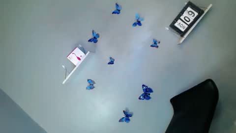 Snapshot of my_girl28 chatting on 11.09.25 jasmine online show from 11.09.25