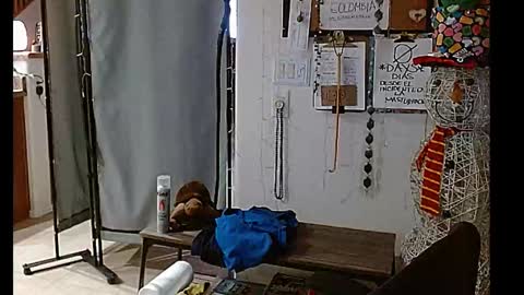 Snapshot of mycock4u247 chatting on 12.25.24 LA MARIPOSA DE MARICOPA online show from 12.25.24