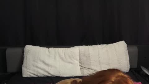 Snapshot of mymiesexy chatting on 09.11.25 mymiesexy online show from 09.11.25