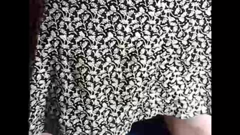 Sissy Mike online show from 02.18.25