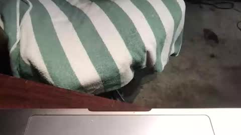 Snapshot of mythickness chatting on 01.15.25 mythickness online show from 01.15.25