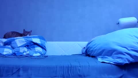 n3philim999 online show from 10.12.25