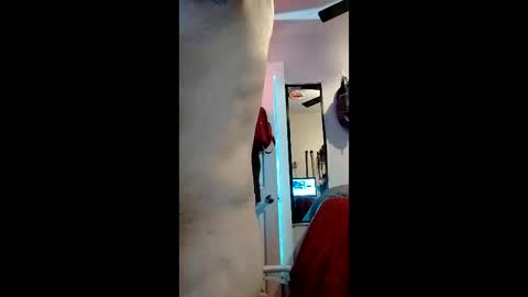 Snapshot of nachito650 chatting on 12.19.25 cheesechip online show from 12.19.25