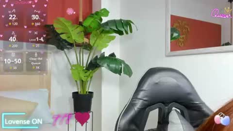 N A I A R A online show from 06.15.26