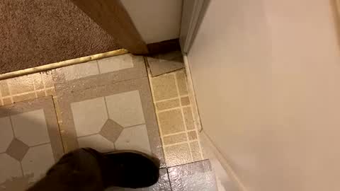 nairda2senoniuq online show from 12.20.24