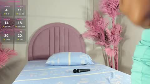 Snapshot of nalapalmer chatting on 02.14.26 nalapalmer online show from 02.14.26