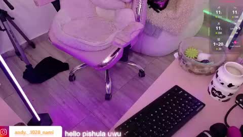 Snapshot of nami_usagi chatting on 04.29.26 nami_usagi online show from 04.29.26