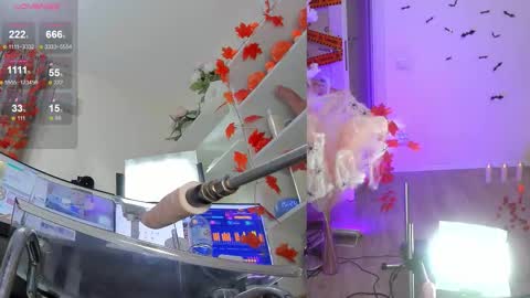 INSTAGRAM     bekkercat  online show from 11.06.25