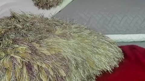 Naomy Smith online show from 12.13.24