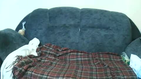 nastylily1 online show from 01.17.26