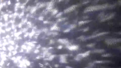 nastysubs69 online show from 12.20.25