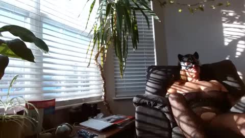 Natalia Navokov online show from 01.11.25