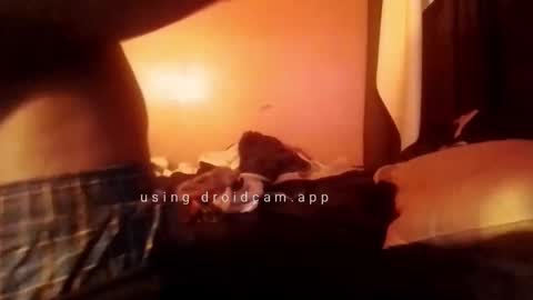 nathanbutler0 online show from 10.31.25