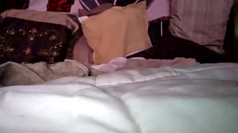 Haven online show from 04.14.26