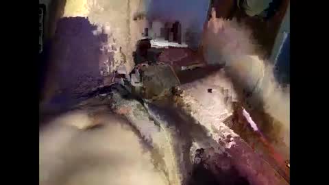 Nsa 35 online show from 10.11.25