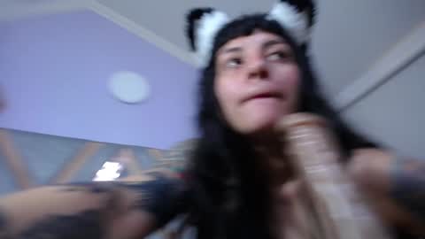 Kitten online show from 01.31.25