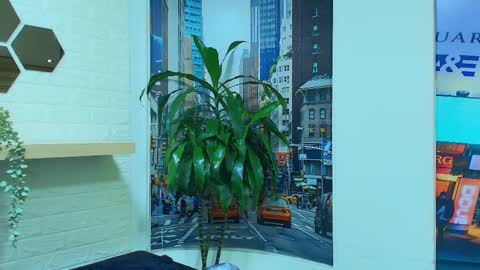 Kitten online show from 03.07.25