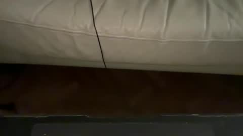 navigatingtothesky online show from 11.18.25