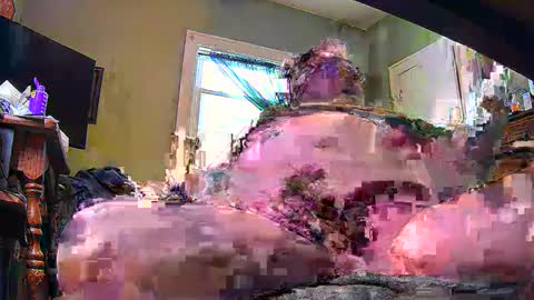 ND Cowpoke online show from 02.08.25