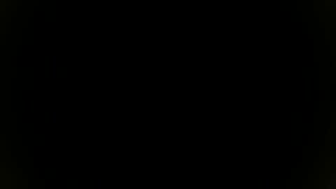 Sebastian online show from 11.08.25